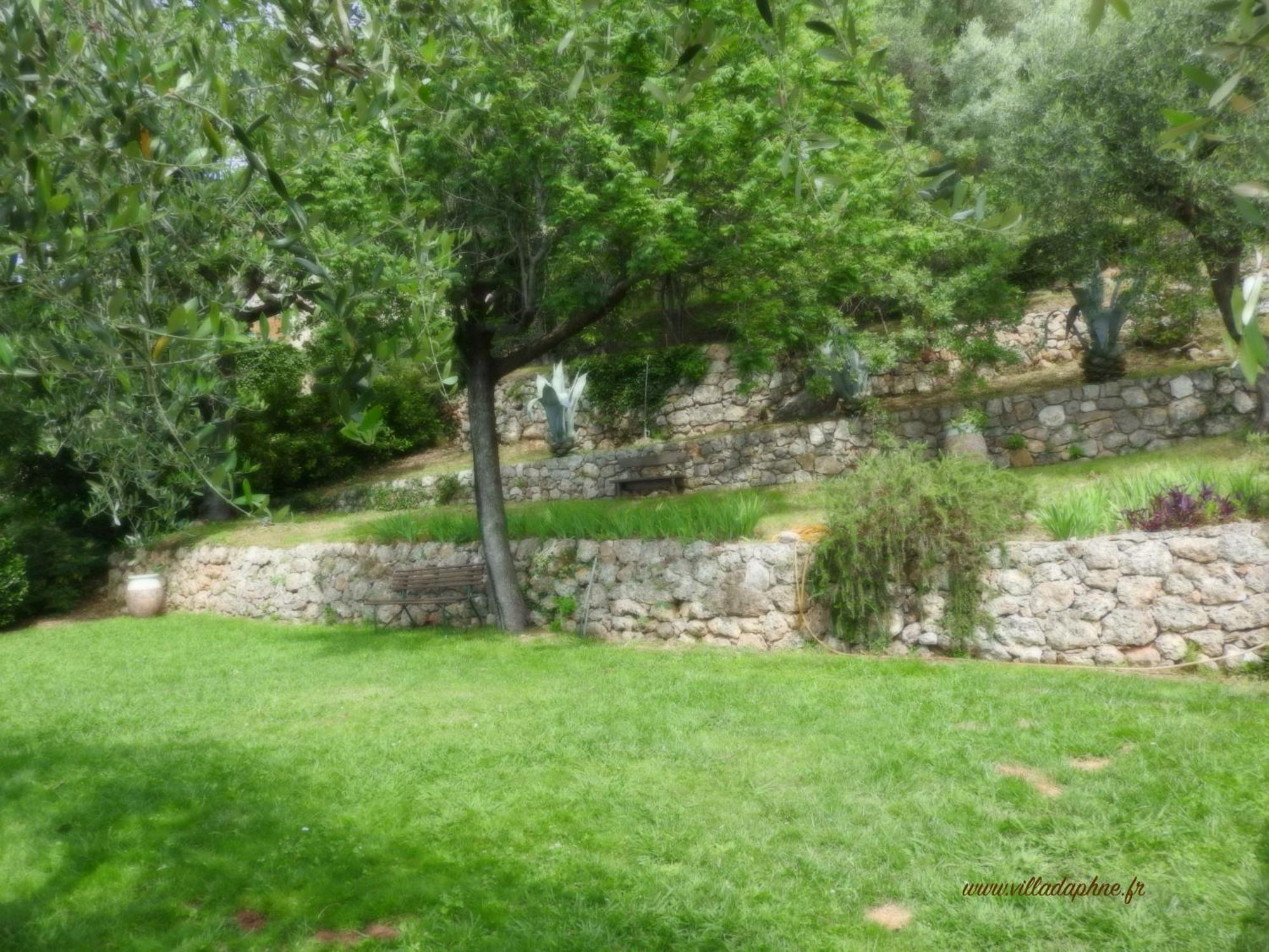 Villa Daphne Spéracèdes Dış mekan fotoğraf